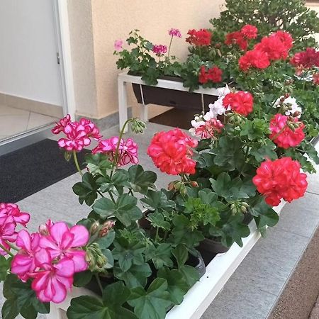 Apartment Marelja - Private Parking And Balcony Zadar Eksteriør billede